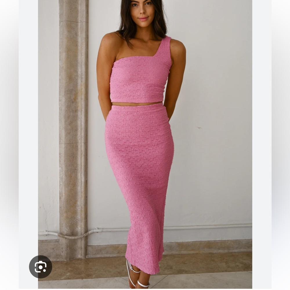 Elegant Pink Women's Skirt
